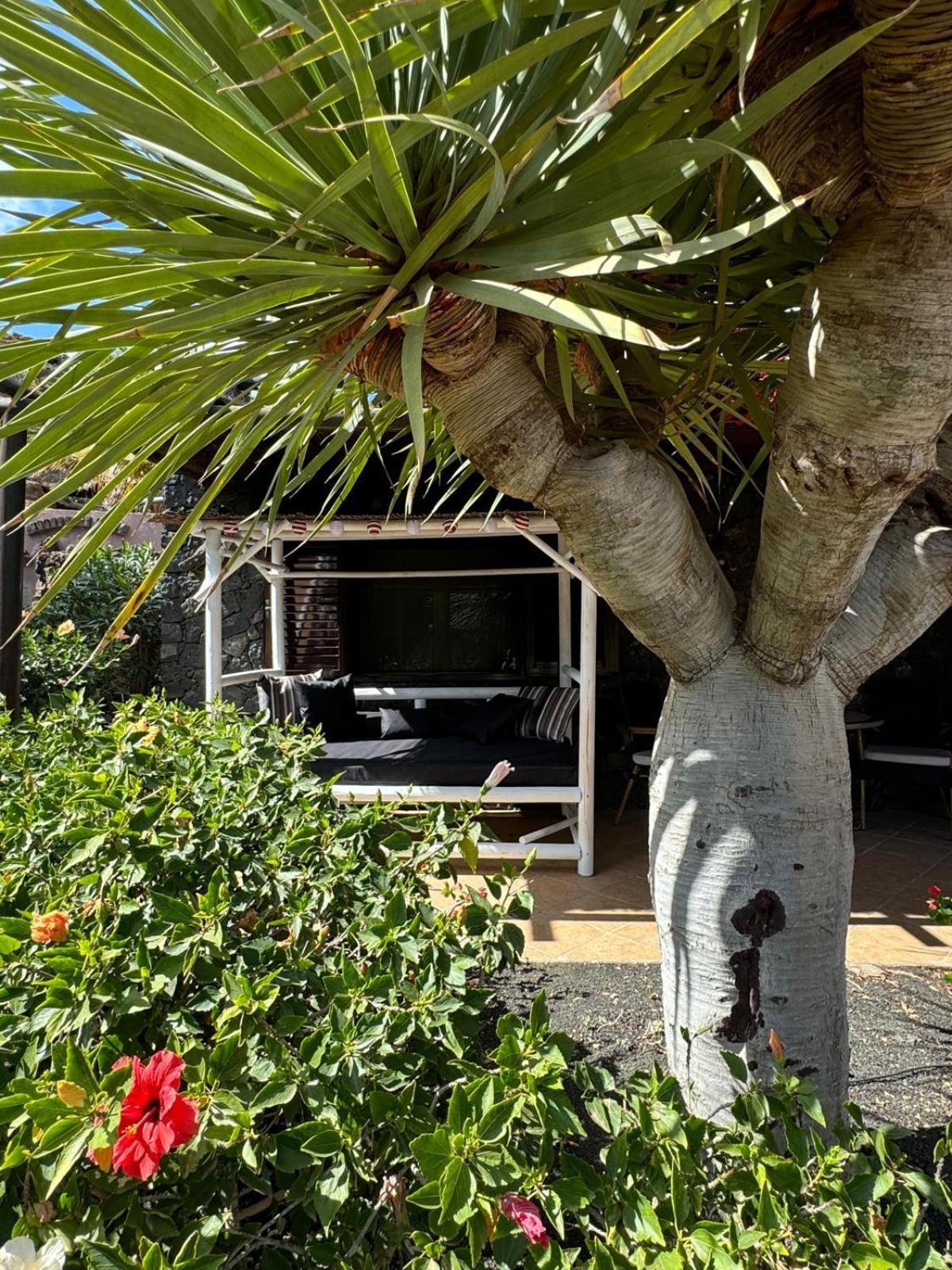 Castillo Lanzarote Villa Bailey - Luxury Villa - Pet Friendly With Heated Pool La Asomada  Exterior photo